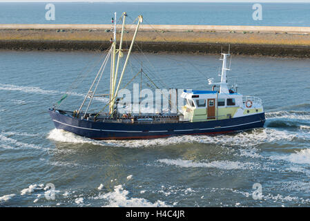 Bateau de pêche entrant dans le port de pêche de Harlingen à partir de la mer des Wadden, protégée par l'UNESCO aux Pays Bas Banque D'Images