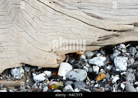 Bois flotté et de silex des débris sur la plage, détail, National Park, l'île de Jasmund, la mer Baltique de Rügen, Allemagne Banque D'Images