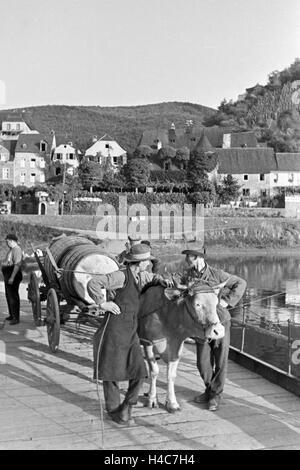 Dans Moselbauern Beilstein auf dem Weg zur Arbeit in den Weinberg, Deutschland 1930 er Jahre. Les vignerons sur leur lieu de travail, de l'Allemagne 1930 Banque D'Images