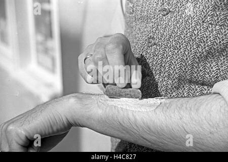 Gewinnung von Bienengift Pharmafirma bei der Mack à Illertissen, Deutschland 1930 er Jahre. L'extraction de venin d'abeille à Mack pharmceutical company à Illertissen, Allemagne 1930 Banque D'Images