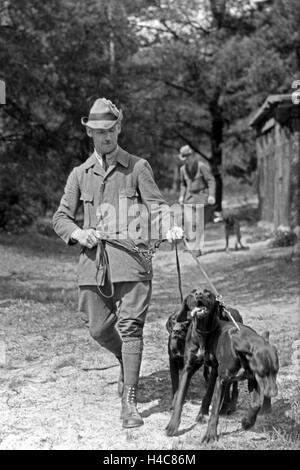 Ein Förster unterwegs im Wald mit seinen, a diet Deutschland 1930er Jahre. Un garde forestier avec ses chiens dans le bois, de l'Allemagne 1930 Banque D'Images
