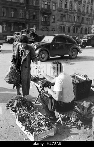 Eine Reise nach Wien, Deutsches Reich 1930er Jahre. Un voyage à Vienne, l'Allemagne 1930 Banque D'Images