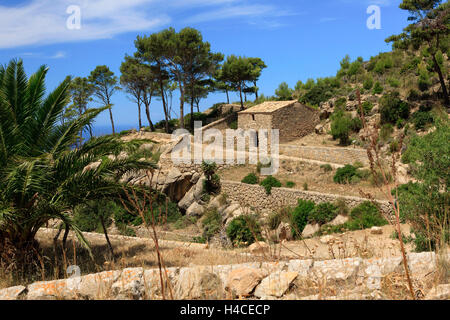 Ruines du cloître La Trapa, gilets l'île de Majorque, Îles Baléares, Espagne, Europe Banque D'Images