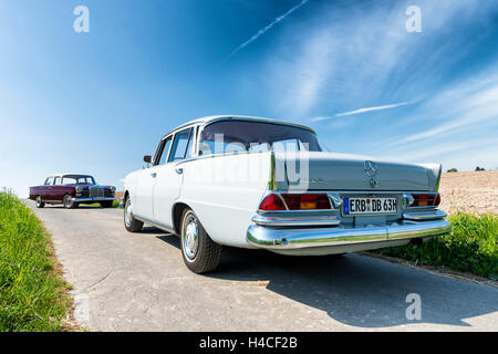 Mercedes 220 Sb, type W 111, année de fabrication 1963, 105 HP, et Mercedes W 110 200, type, année de construction 1966, 95 HP, Banque D'Images