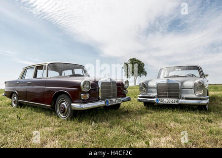 Mercedes 220 Sb, type W 111, année de fabrication 1963, 105 HP, et Mercedes W 110 200, type, année de construction 1966, 95 HP, Banque D'Images