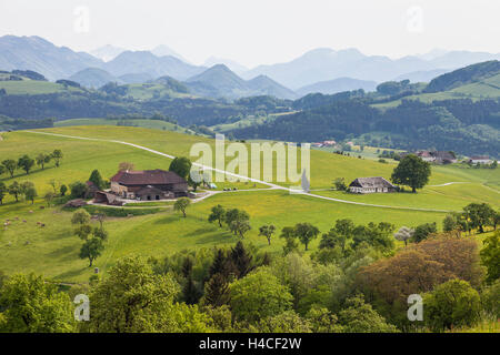 Paysage vallonné avec de fermes dans le Mostviertel, près de Theux à l'Ybbs, Basse Autriche, Autriche, Europe, Banque D'Images