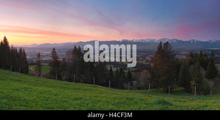 Allemagne, Bavière, Alpes, Allgäu, Auerberg, montagnes, montagnes, panorama, printemps, pré, pissenlits, blossom, couleurs, sunrise, l'humeur, pastel, immensité, villages, idyllique, pays, clôture, pâturage, matin, bois, arbres, paysages, Banque D'Images