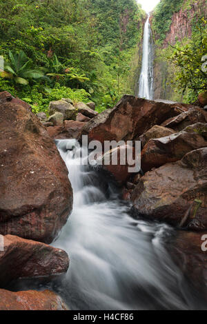 La Guadeloupe, la France, les Caraïbes, cascade, chutes du Carbet, la Soufrière, jungle tropicale, forêt vierge, Banque D'Images