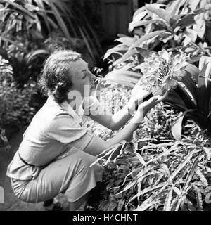 Eine junge Frau bewundert Monochapelle l einem Gewächshaus à Stuttgart, Deutschland 1930er Jahre. Une jeune femme admirant une serre à orchidées tropicales à Stuttgart, Allemagne 1930. Banque D'Images