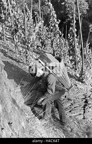 Dans Moselbauern Beilstein auf dem Weg zur Arbeit in den Weinberg, Deutschland 1930 er Jahre. Les vignerons sur leur lieu de travail, de l'Allemagne 1930 Banque D'Images