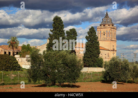 Espagne, Andalousie, province de Séville, à Santiponce, cloître Monasteiro de San Isidoro Del Campo Banque D'Images