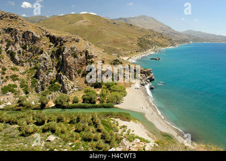 Plage de Preveli, district de Rethimnon, côte sud, Crète, Grèce Banque D'Images