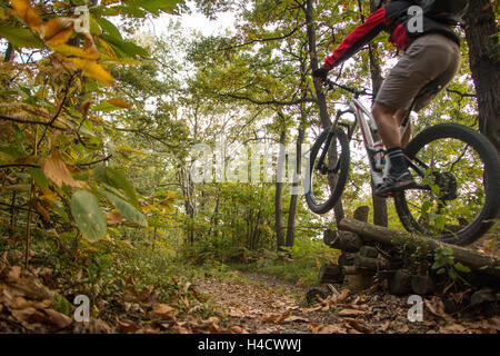 Mountain Bike Jump biker dans les bois de la Serra et des sentiers forestiers Morenica Hill dans le Piémont en Italie. Vélo VTT Banque D'Images
