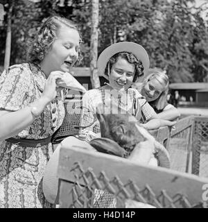 Drei junge Frauen am Ziegengehege im Tierpark Wilhelma à Stuttgart, Deutschland 1930er Jahre. Trois jeunes femmes à la chèvre composé aux jardins zoologique Wilhelma à Stuttgart, Allemagne 1930. Banque D'Images