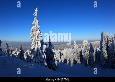 Paysage d'hiver dans le Fichtelgebirge, district Bayreuth, Haute-Franconie, Bavarois, Allemagne Banque D'Images