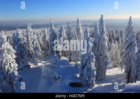 Paysage d'hiver dans le Fichtelgebirge, vue de la tête de bœuf, district Bayreuth, Haute-Franconie, Bavarois, Allemagne Banque D'Images