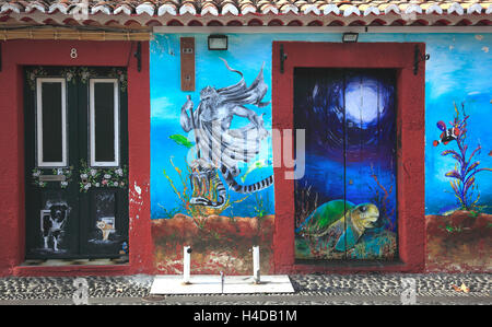 Île de Madère, Funchal, colorés, portes peintes et mur extérieur dans la vieille ville, "l'art d'ouvrir des portes ', rue Santa Maria Banque D'Images