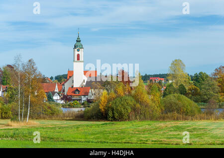 Allemagne, Bade-Wurtemberg, Kisslegg local, vue sur le lac du moine ermite NSG de l'église paroissiale St. Gall et Ulrich, construit en 1734 ? En 1738 de Johann Georg Fischer, Kisslegg réside avec Super Barockstrasse Souabe dans l'ouest, de l'Allgäu Banque D'Images