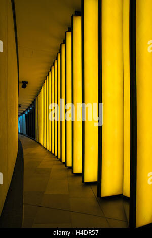 Intérieur du Musée d'Art de la fondation Louis Vuitton Paris France Banque D'Images