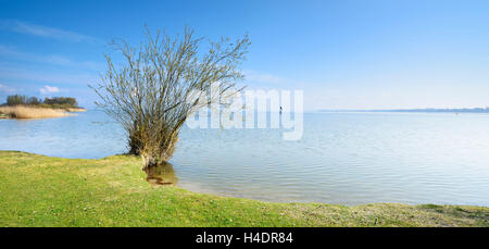 Allemagne, Bavière, avec Röbel, baie tranquille sur la rive ouest de la Müritz, Eastgate, printemps Banque D'Images