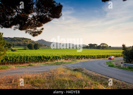 Lieu Accattapane, Donoratico Castagneto Carducci, route menant à les fouilles archéologiques de la tour de Donoratico Banque D'Images