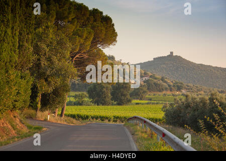 Lieu Accattapane, Donoratico Castagneto Carducci, route menant à les fouilles archéologiques de la tour de Donoratico Banque D'Images