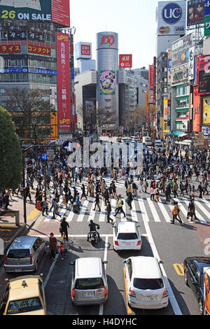 Japon, Tokyo, Shibuya, Shibuya Crossing Banque D'Images