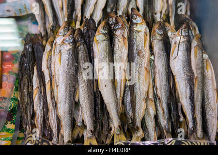 La Russie, Krai du Kamtchatka, Petropavlovsk Kamchatsky (Pierre et Paul). Marché du poisson frais local. Banque D'Images