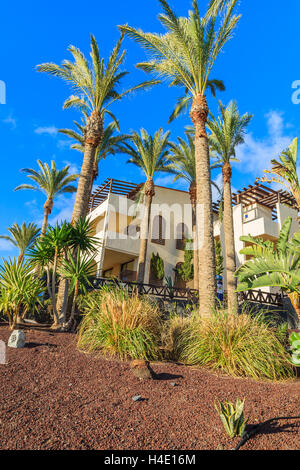 MORRO DEL JABLE, Fuerteventura - 6 février : jardins tropicaux de l'hôtel de luxe de la ville de Morro Jable le 6 mars 2014. C'est un endroit populaire pour les touristes sur l'île de Fuerteventura. Banque D'Images