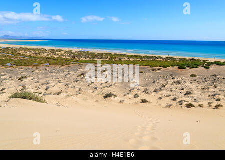 Dune de sable sur la plage de Sotavento de Jandia peninsula, Fuerteventura, Îles Canaries, Espagne Banque D'Images