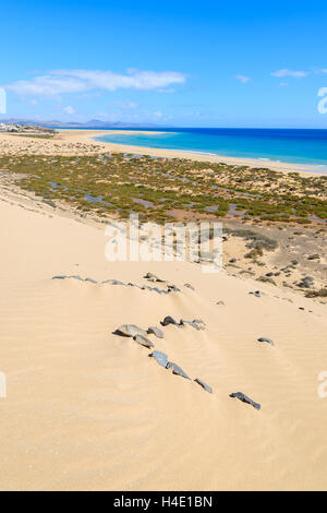 Dune de sable sur la plage de Sotavento de Jandia peninsula, Fuerteventura, Îles Canaries, Espagne Banque D'Images