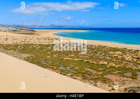 Dune de sable sur la plage de Sotavento de Jandia peninsula, Fuerteventura, Îles Canaries, Espagne Banque D'Images