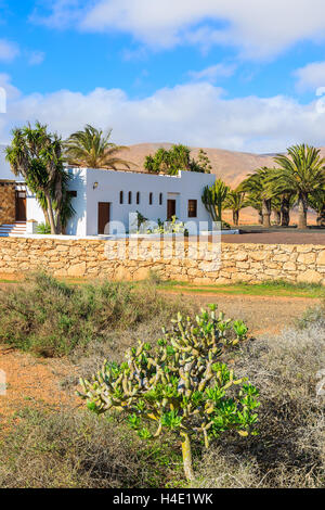 Cactus et maisons blanches typiques construits en style esthétique dans les zones rurales de l'île de Fuerteventura, Espagne Banque D'Images
