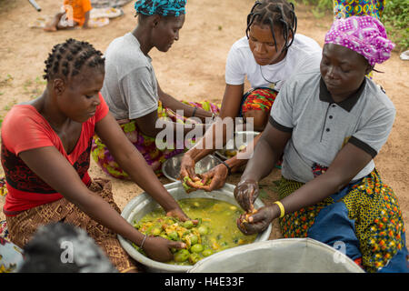 Les femmes l'extrait de fruits de karité au Burkina Faso, Afrique. L'écrou est utilisé pour la fabrication de beurre de karité et l'huile. Banque D'Images