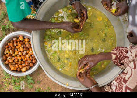 Les femmes l'extrait de fruits de karité au Burkina Faso, Afrique. L'écrou est utilisé pour la fabrication de beurre de karité et l'huile. Banque D'Images