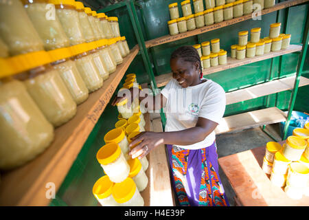 Le beurre de karité est faite lors d'une installation de production du commerce équitable de Réo, Burkina Faso, Afrique de l'Ouest. Banque D'Images