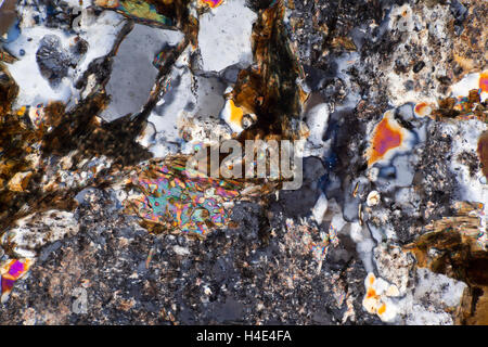 La hornblende - biotite, Castlewellan, Co Down, Irlande. Photomicrographie polarisée section fine. Banque D'Images