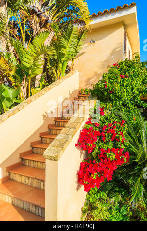 Mesures pour maison de vacances dans un beau jardin plein de fleurs, l'île de Sardaigne, Italie Banque D'Images