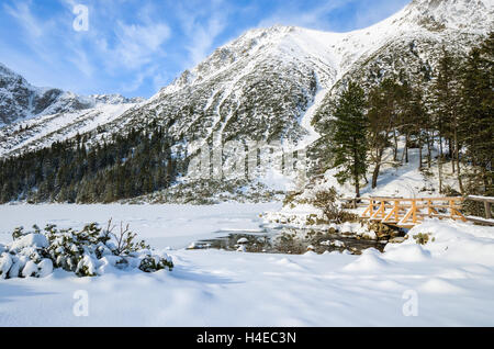 Passerelle en bois sur le sentier de randonnée et couverte de neige belle en hiver le lac Morskie Oko, Hautes Tatras, Pologne Banque D'Images