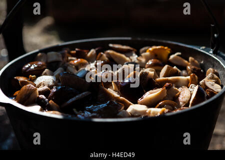 Pot sur le feu avec des champignons dans la forêt sur les rives de la rivière dans la nature Banque D'Images