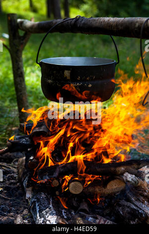 Pot sur le feu avec des champignons dans la forêt sur les rives de la rivière dans la nature Banque D'Images