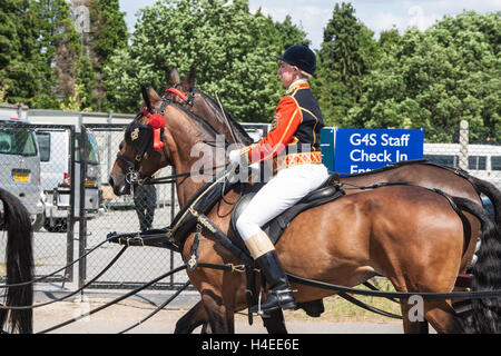 Royal Ascot, réunion de courses de chevaux.événement populaire sur le calendrier social assisté par la Reine du Berkshire, Angleterre. Mesdames jour. Banque D'Images