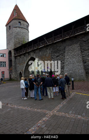 Une section de Tallinn, imposant mur de la ville du 14ème siècle est toujours debout à l'entrée de la ville, Vieille Ville médiévale. Banque D'Images