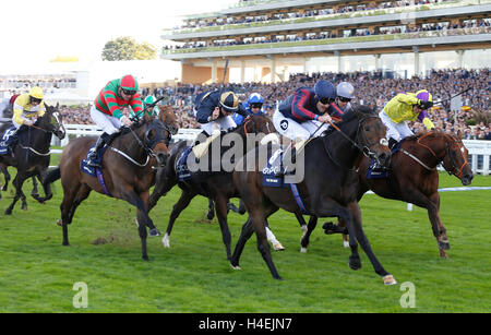 L'homme de bidon monté par Tom Queally (NO8) gagne le Sprint des champions britanniques QIPCO Course exécuté lors de la Journée des champions britanniques QIPCO à Ascot Racecourse. Banque D'Images