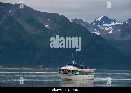 Alaska, Seward. Kenai Fjords National Park, Résurrection Bay. Kenai Fjords Tours, les touristes à la recherche de loutres de mer. Banque D'Images