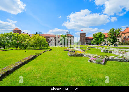 Fleurs colorées dans le château de Wawel, Cracovie, Pologne Banque D'Images