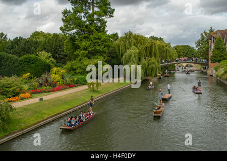 Promenades en barque sur la Cam, Cambridge, Cambridgeshire, Angleterre Banque D'Images