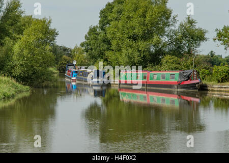 Bateaux amarrés étroit sur Grand Union Canal, près de l'Linslade, Bedfordshire, Angleterre Banque D'Images