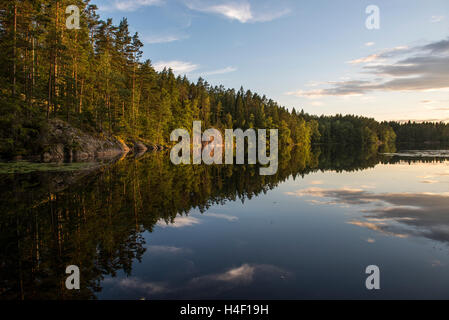 Forêt de pins et étang avec reflet dans l'eau, le parc national de Nuuksio, Finlande Banque D'Images