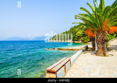 Palmier sur petite plage et d'azur de l'eau de mer en village sami, l'île de Céphalonie, Grèce Banque D'Images